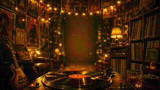 Vinyl and Guitar Room